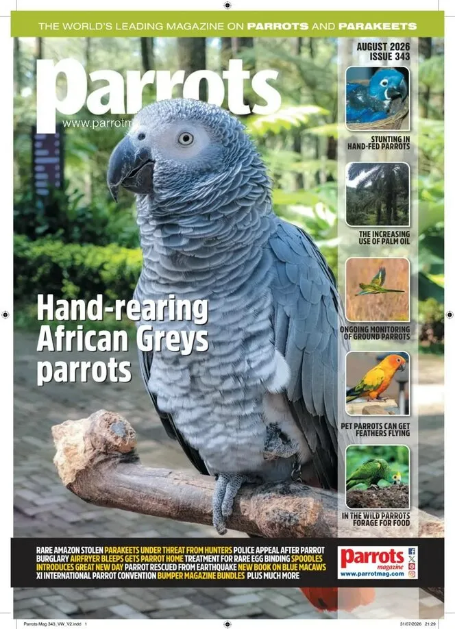 Parrots – August 2026