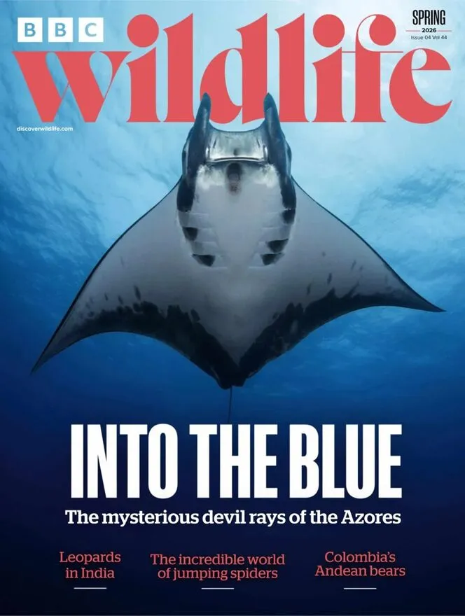 BBC Wildlife – Spring 2026