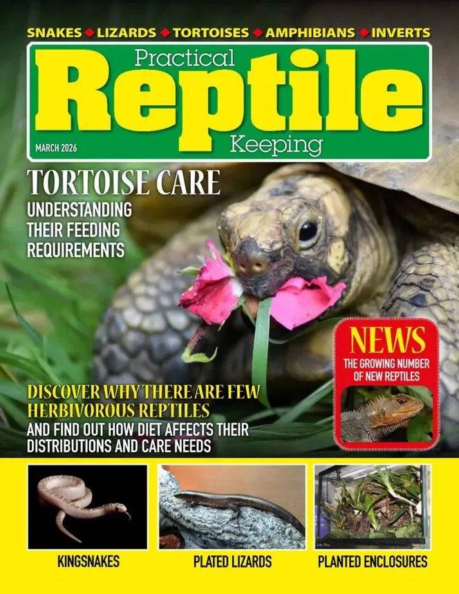 Practical Reptile Keeping – March 2026