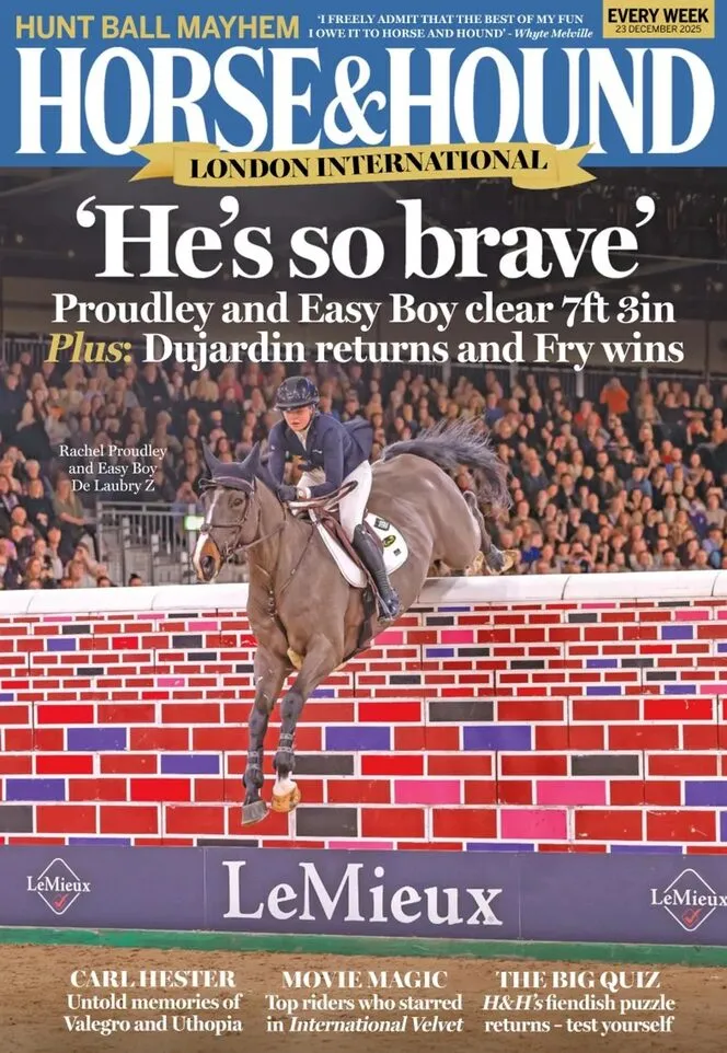 Horse Hound – 23 December 2025