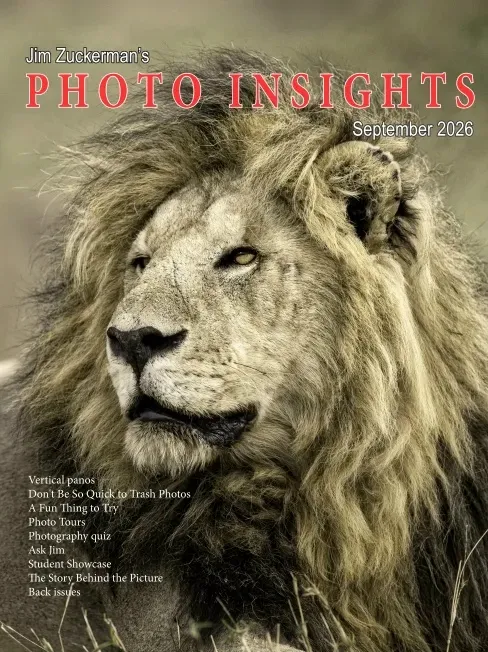 Photo Insights – September 2026