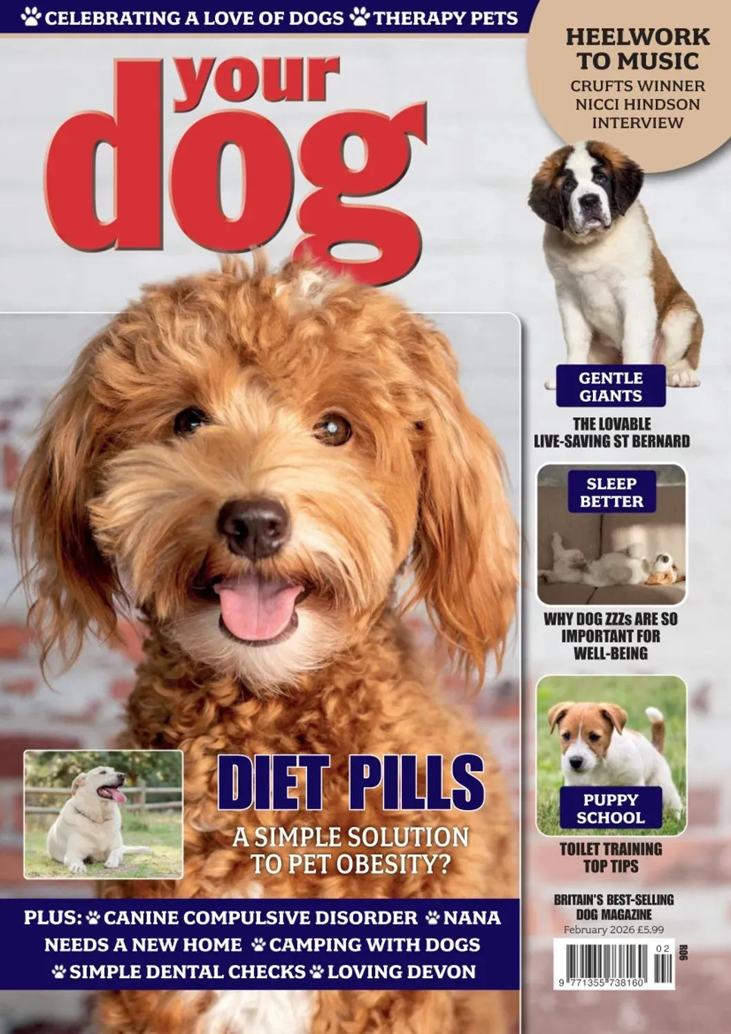 Your Dog – February 2026