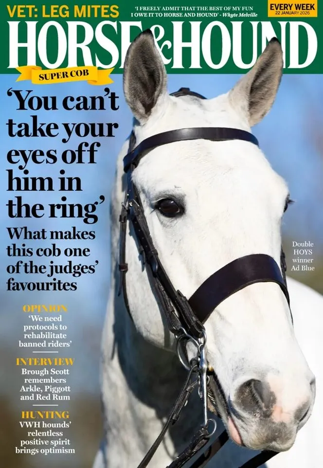 Horse Hound – 22 January 2026