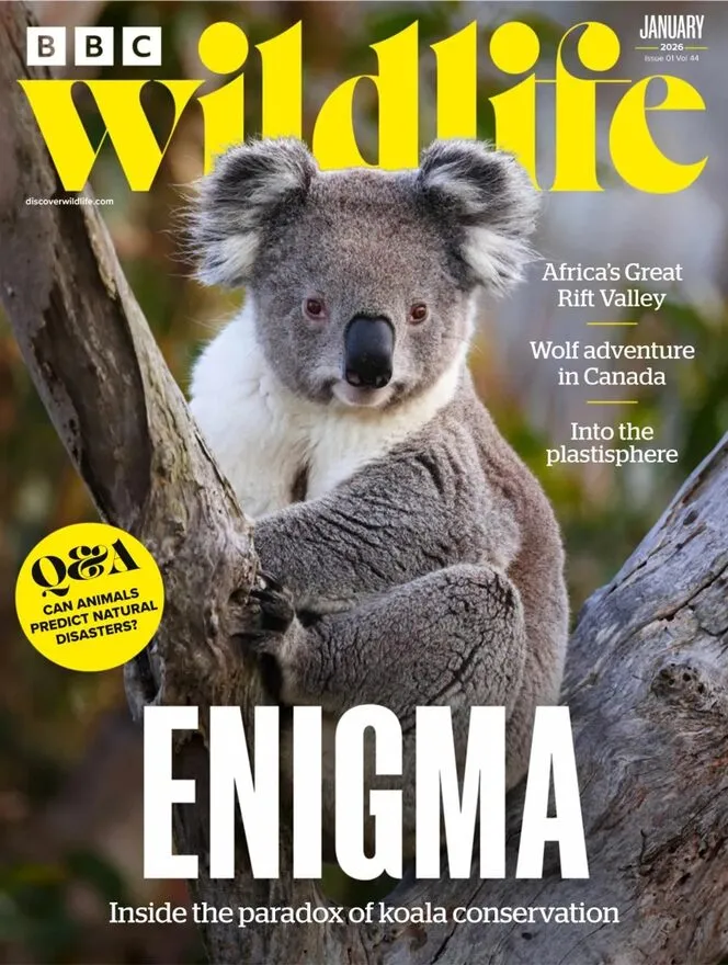 BBC Wildlife – January 2026