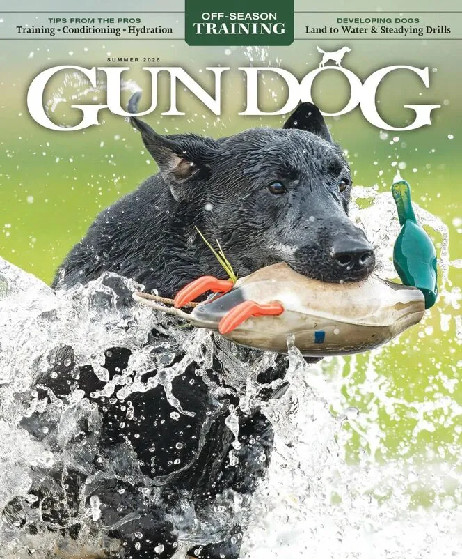 Gun Dog – June-July-August 2026