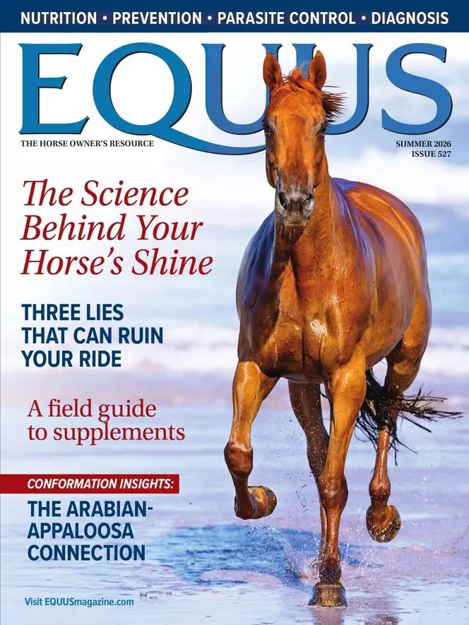 EQUUS – Summer 2026