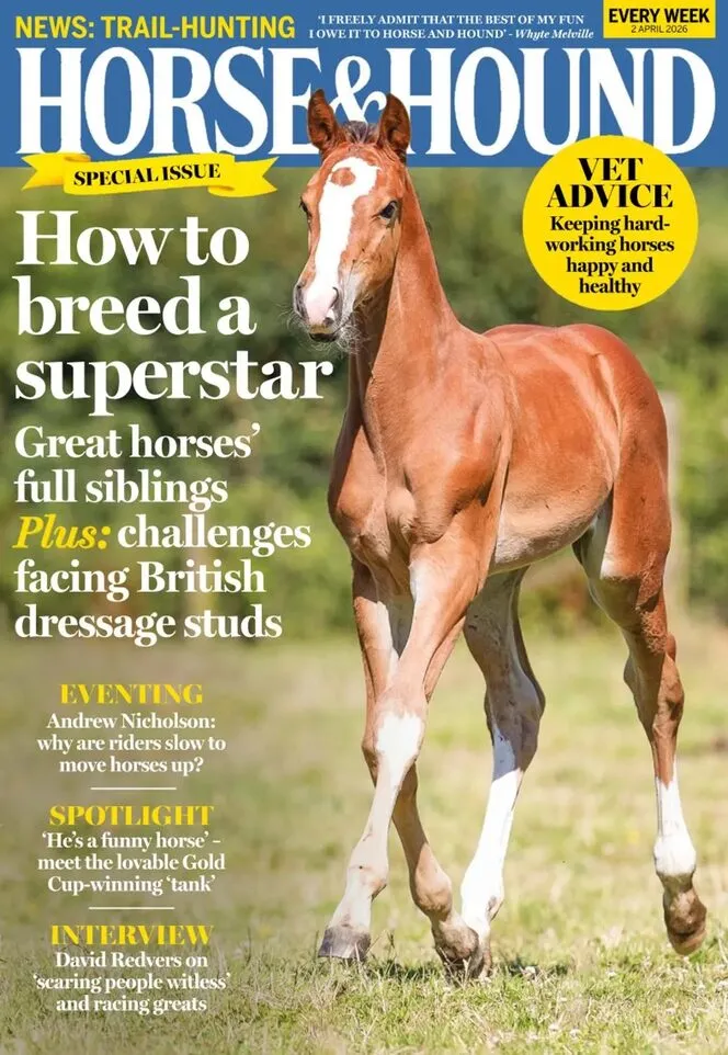 Horse Hound – 2 April 2026