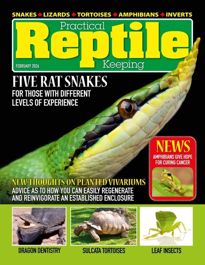 Practical Reptile Keeping – February 2026