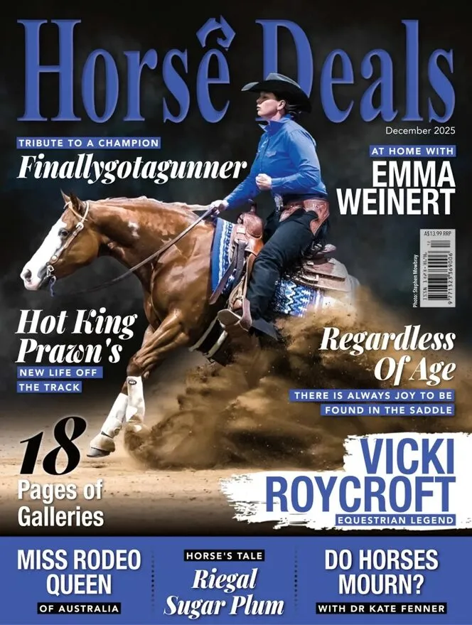 Horse Deals – December 2025