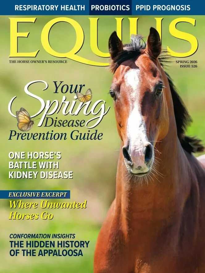 EQUUS – Spring 2026