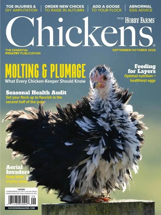 Chickens – September-October 2026