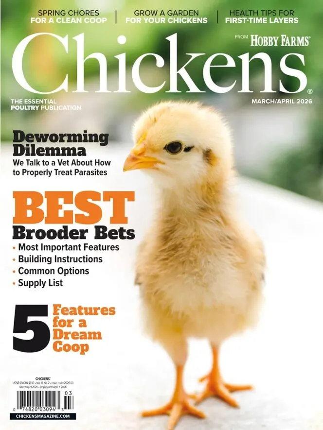Chickens – March-April 2026