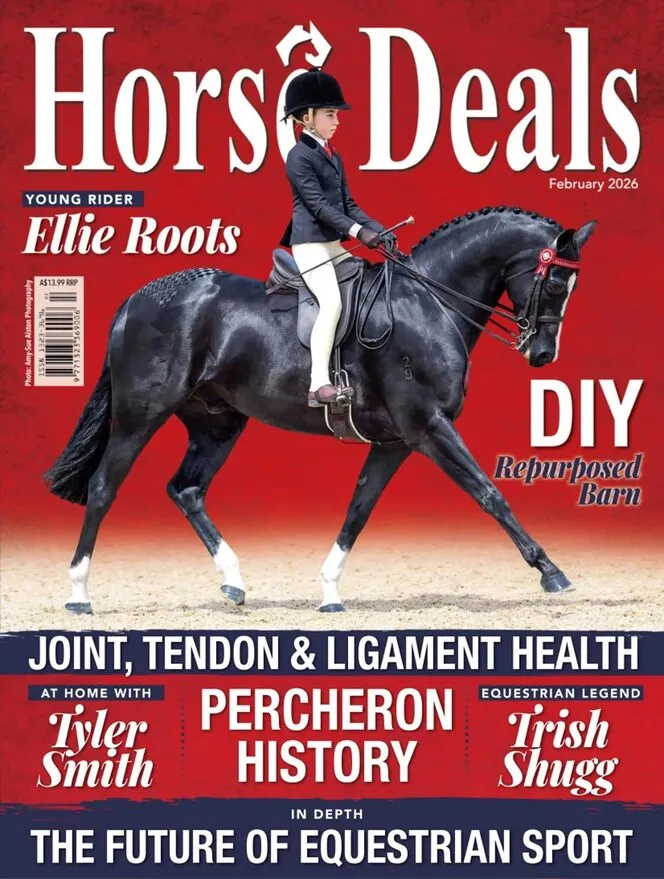Horse Deals – February 2026