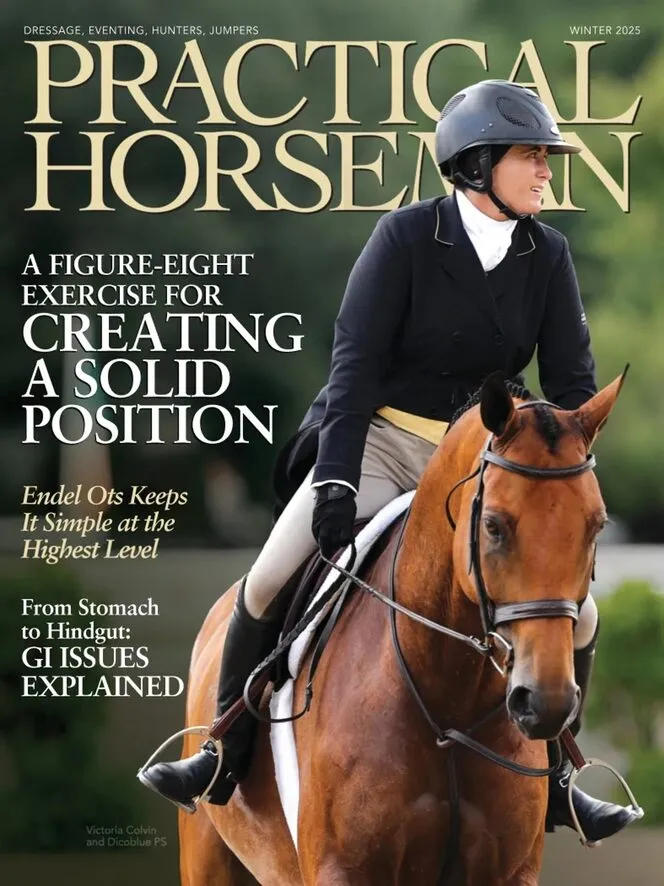 Practical Horseman – 3 December 2025