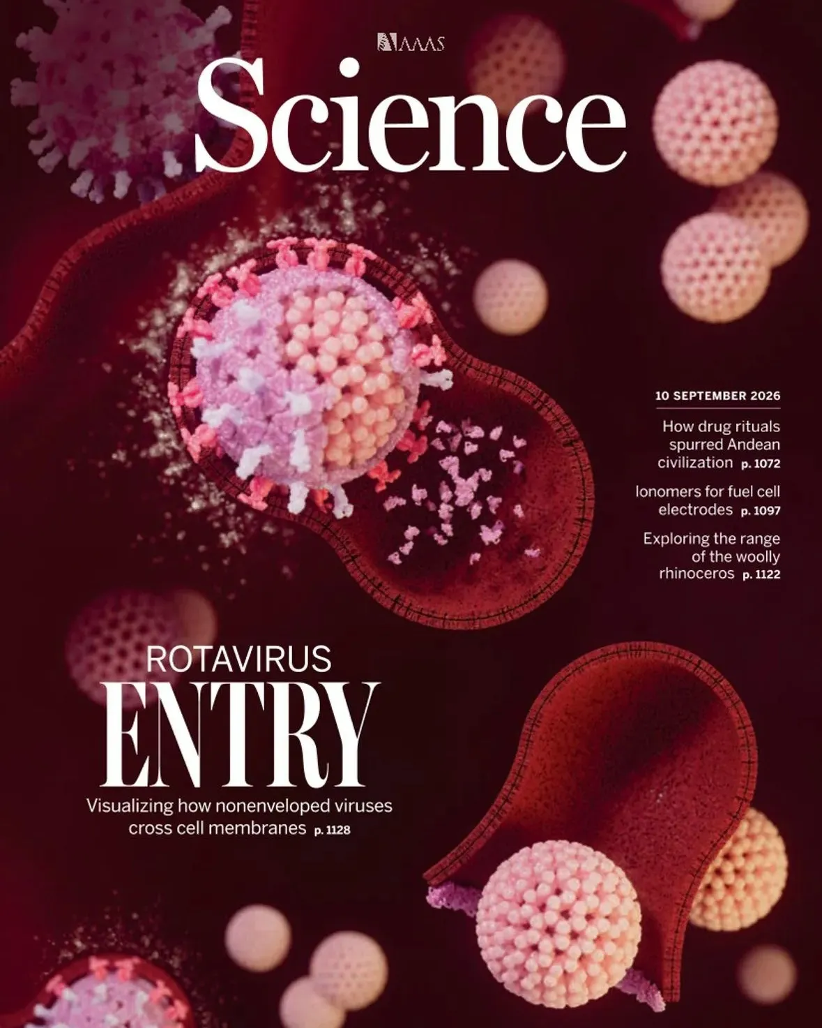 Science – September 10, 2026