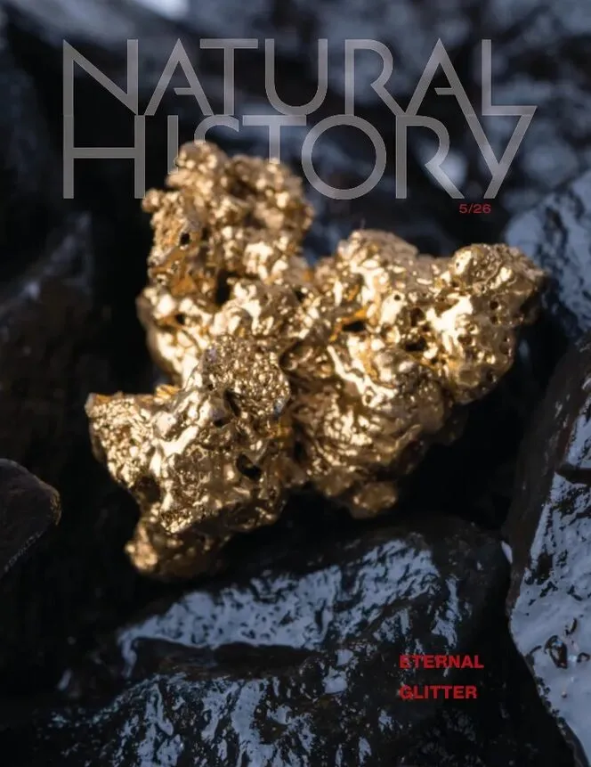 Natural History – May 2026