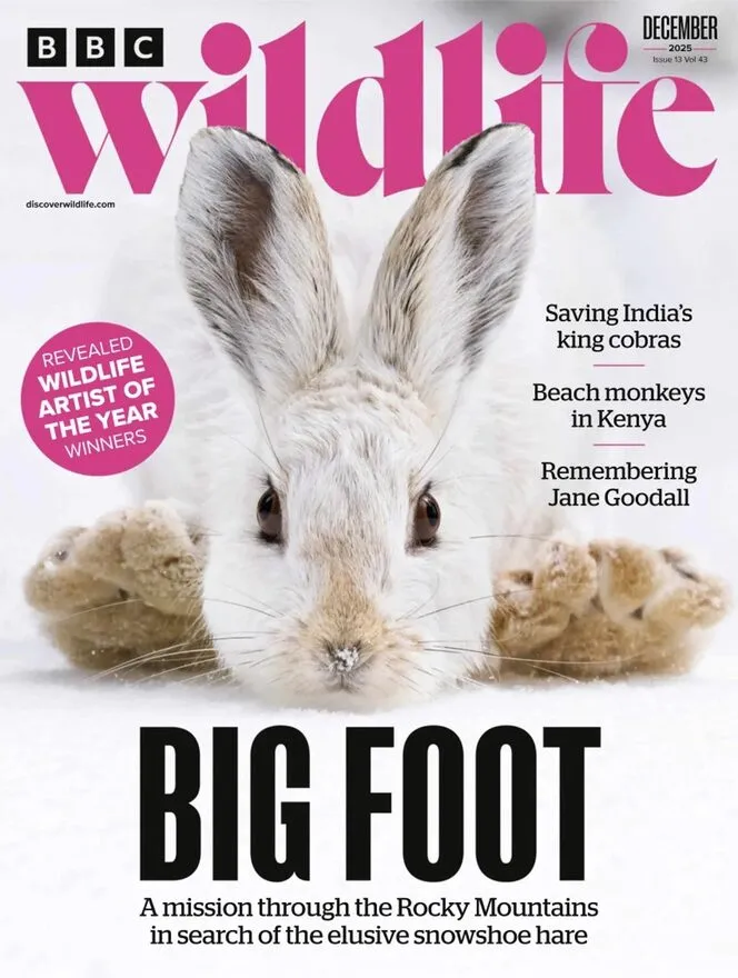BBC Wildlife – December 2025