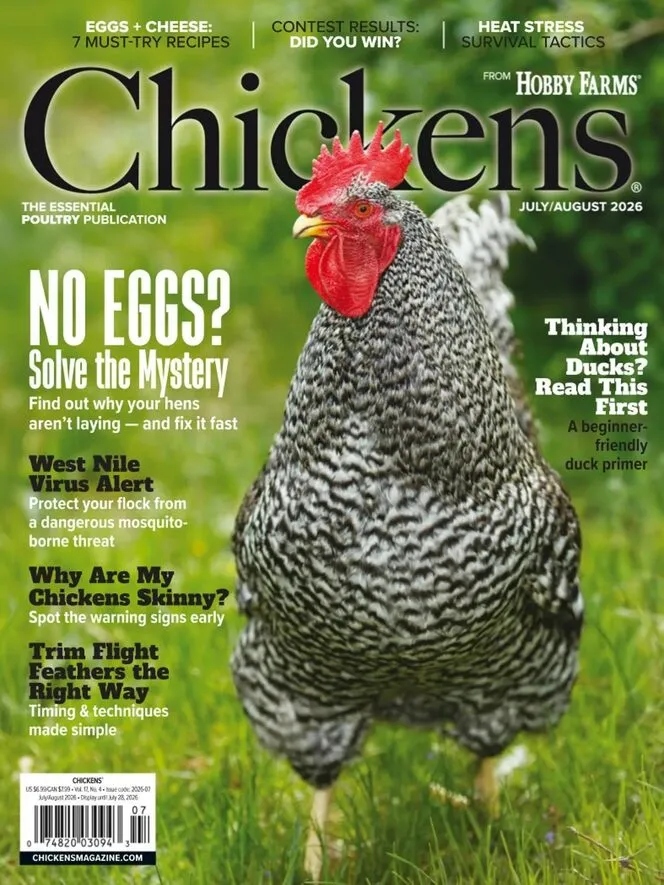 Chickens – July-August 2026