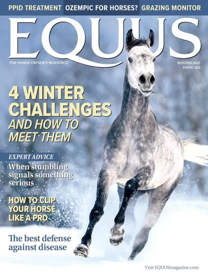 Equus – Winter 2025