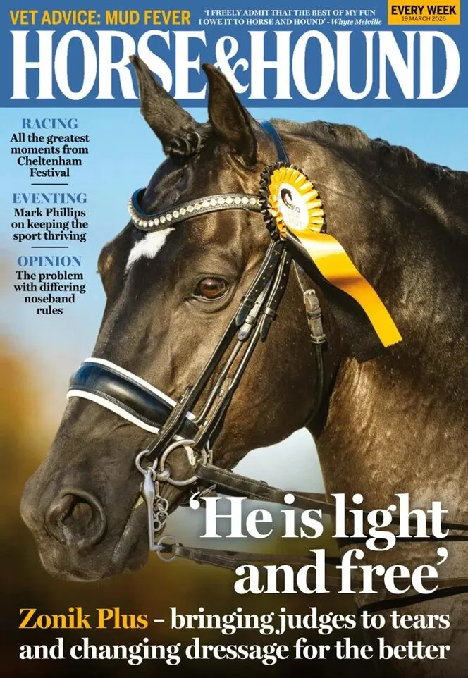 Horse Hound – 19 March 2026