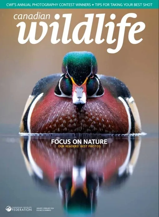Canadian Wildlife – January-February 2024