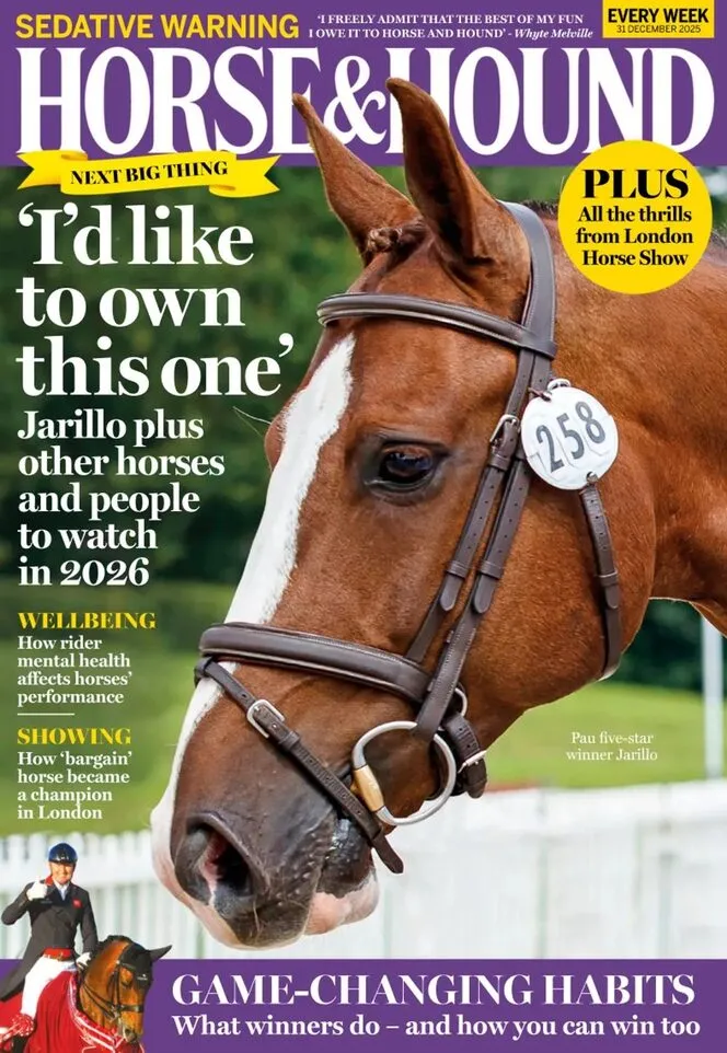 Horse Hound – 31 December 2025