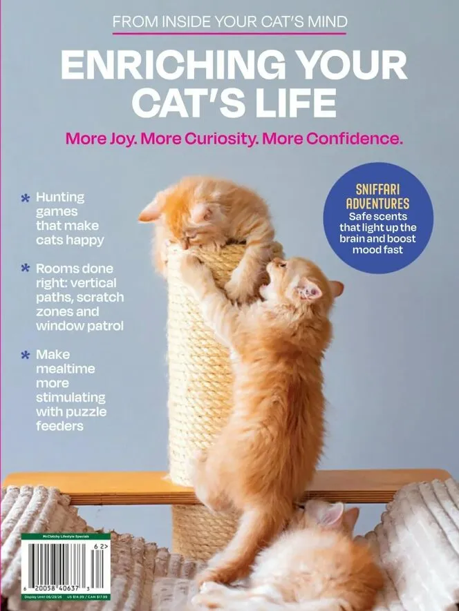 Inside Your Cats Mind – Enriching Your Cats Life 2026