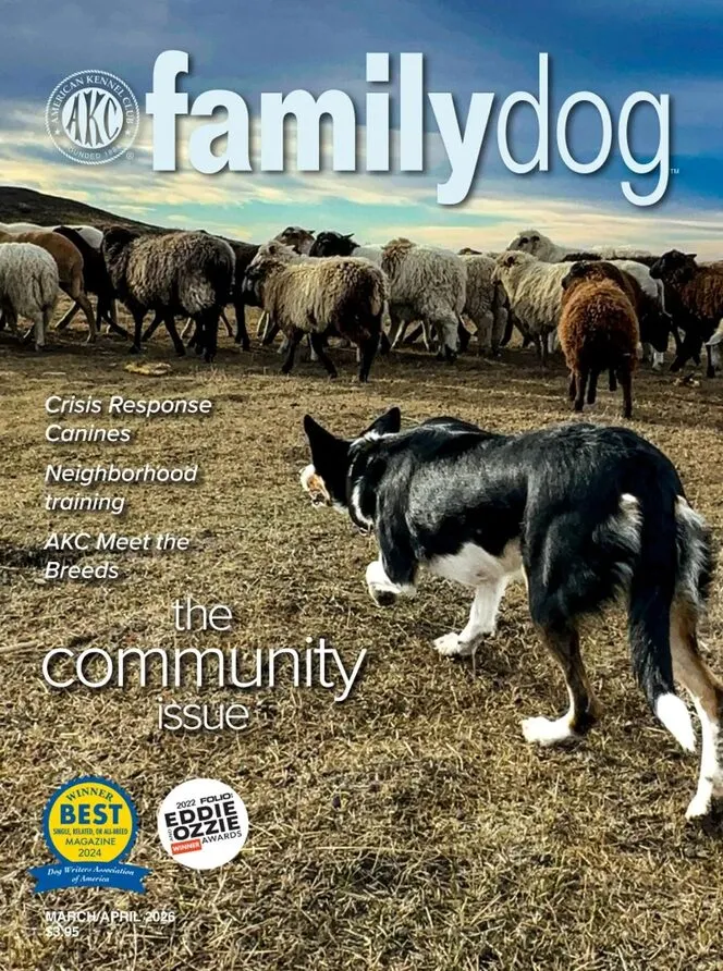 AKC Family Dog – March-April 2026