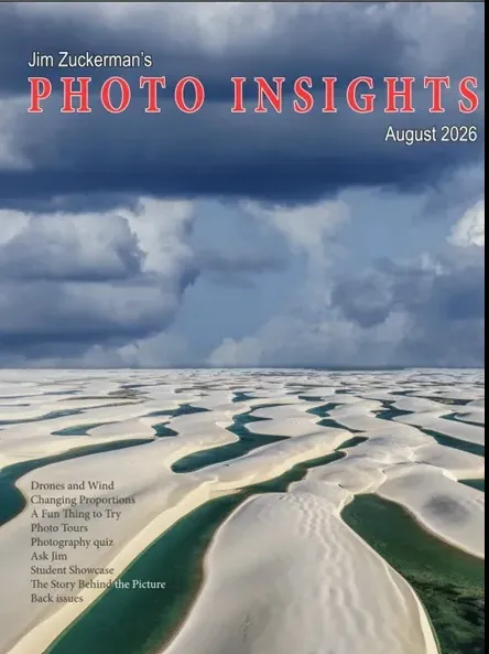 Photo Insights – August 2026