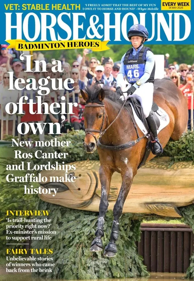 Horse Hound – 14 May 2026