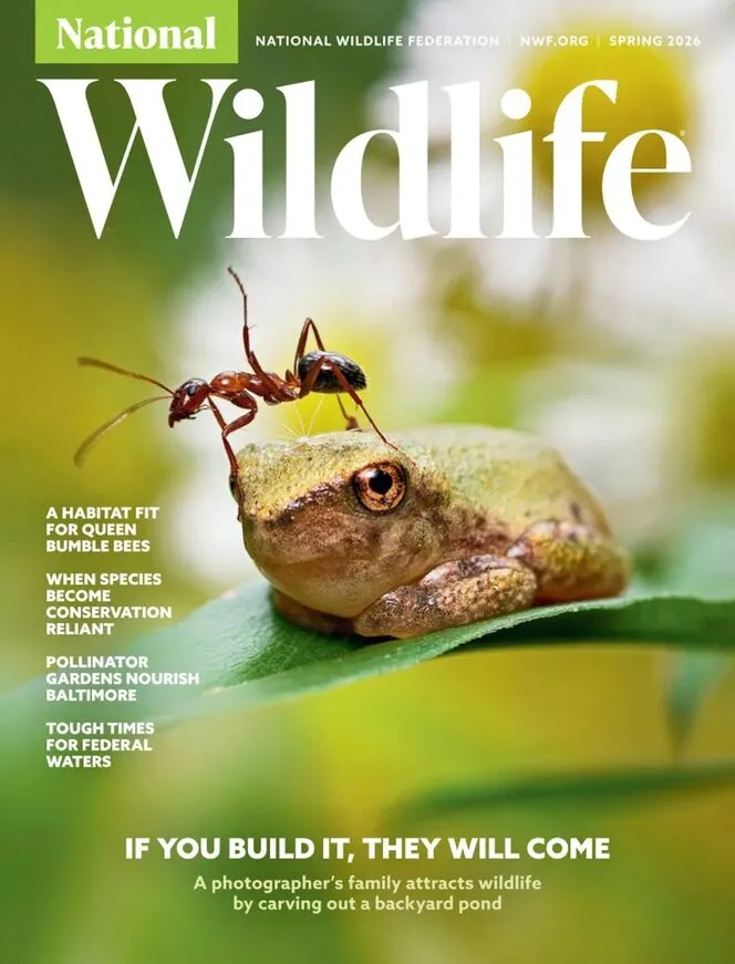 National Wildlife – Spring 2026