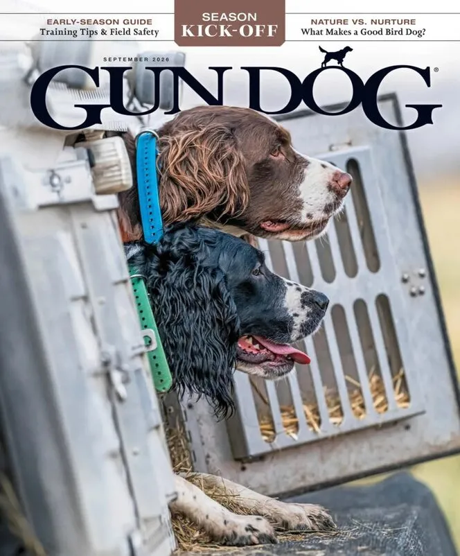 Gun Dog – September 2026
