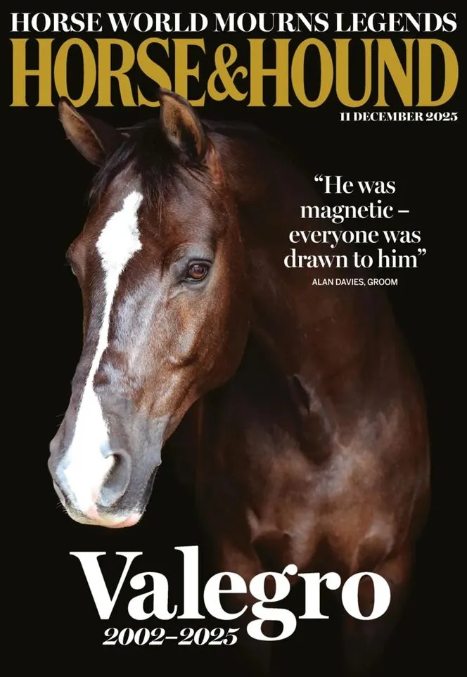 Horse Hound – 11 December 2025