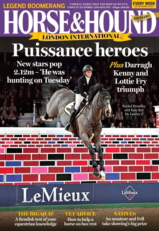 Horse Hound – 28 December 2024