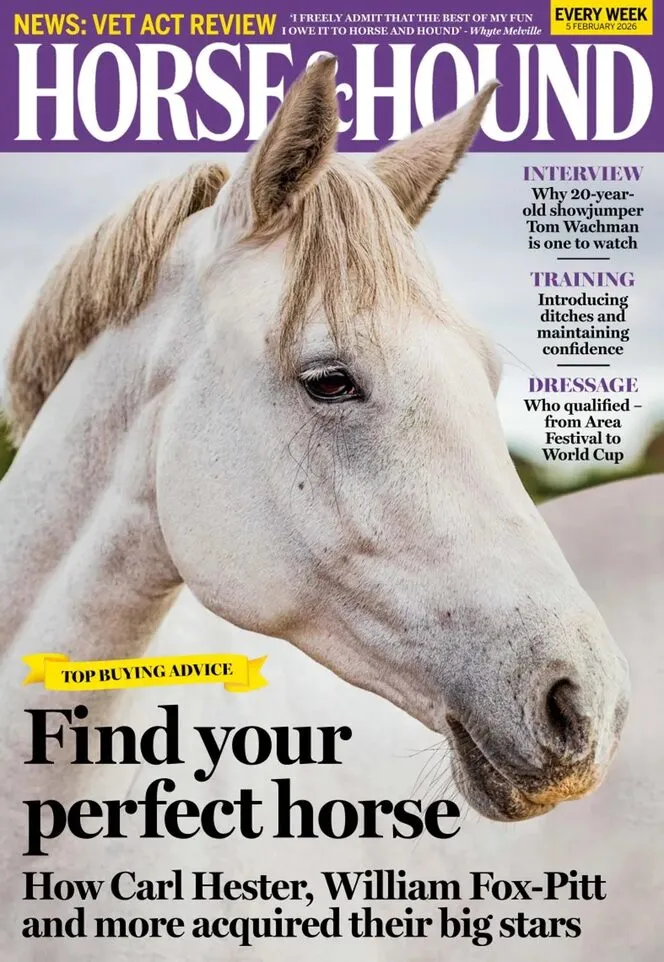 Horse Hound – 5 February 2026