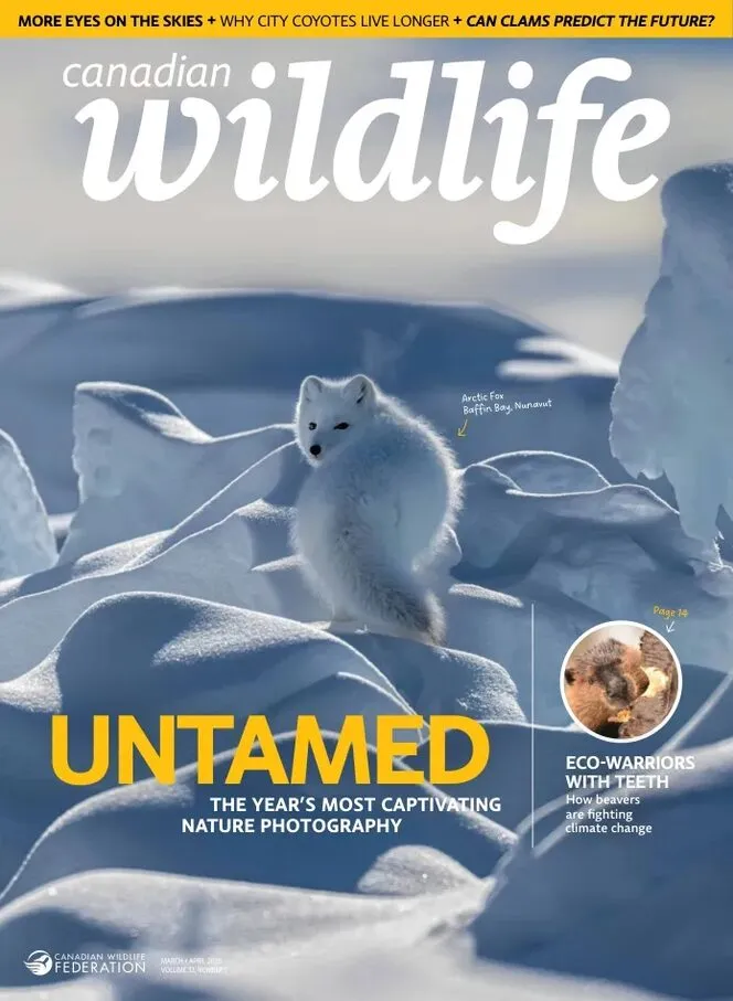 Canadian Wildlife – March-April 2026