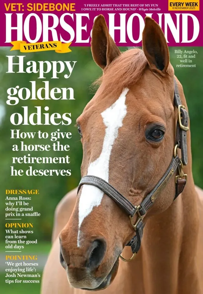 Horse Hound – 6 November 2025
