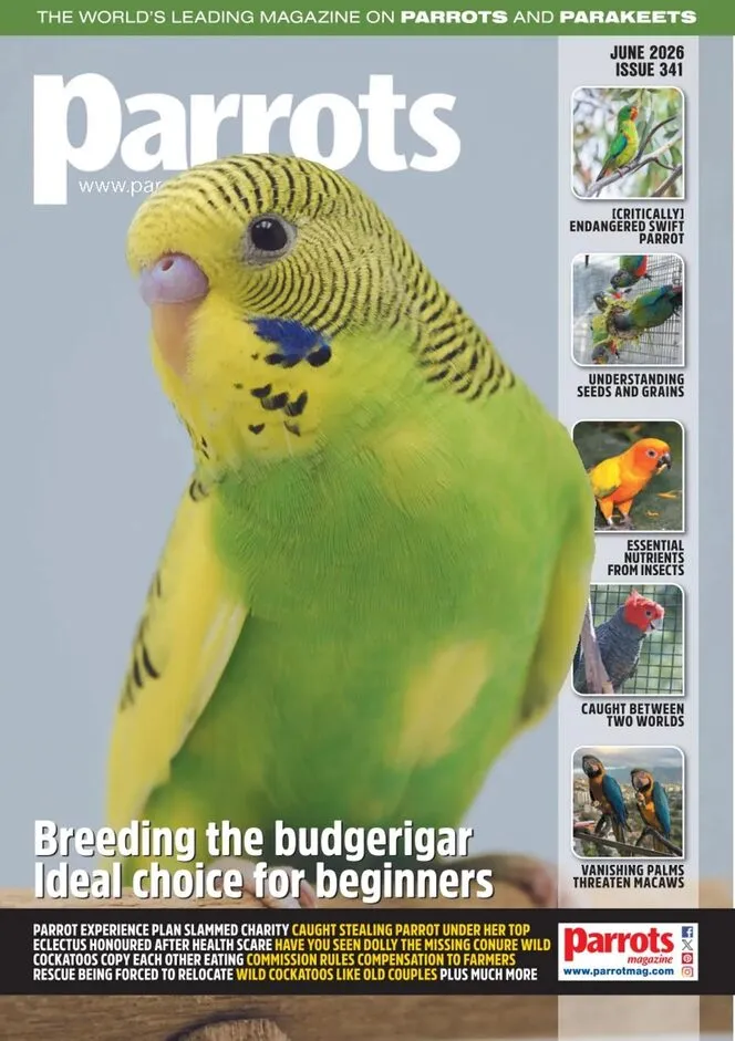 Parrots – June 2026