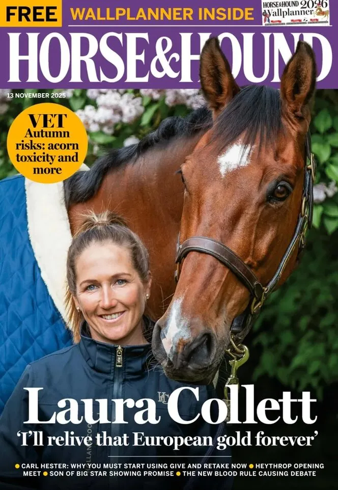 Horse Hound – 13 November 2025