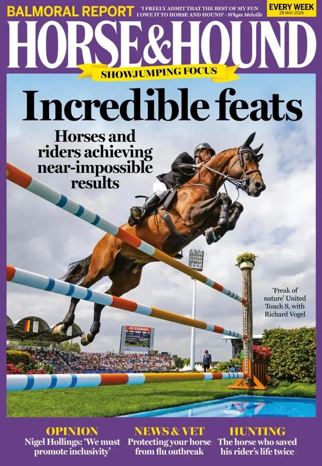 Horse Hound – 28 May 2026