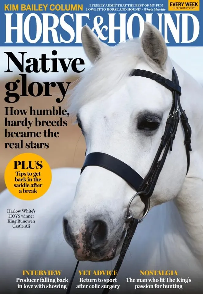 Horse Hound – 12 February 2026