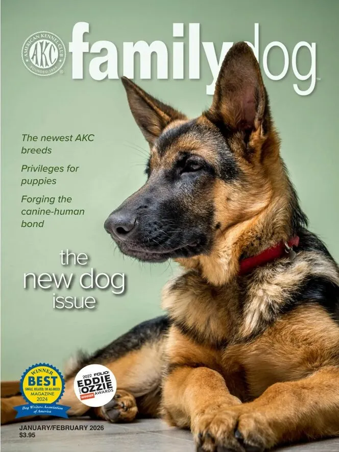 AKC Family Dog – January-February 2026