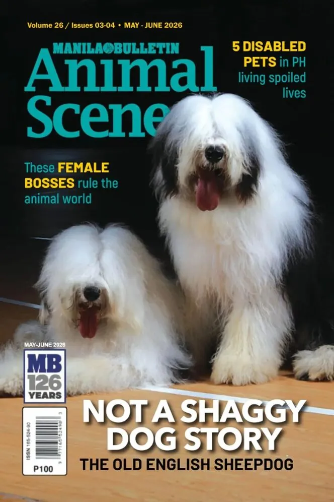 Animal Scene – May-June 2026
