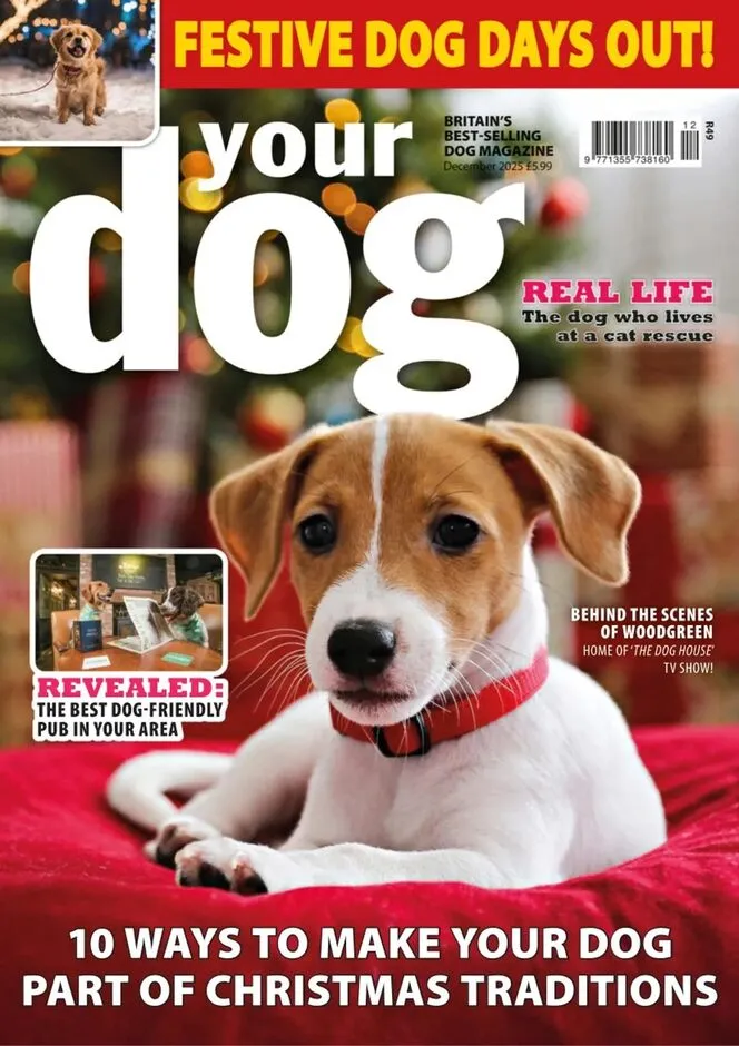Your Dog – December 2025