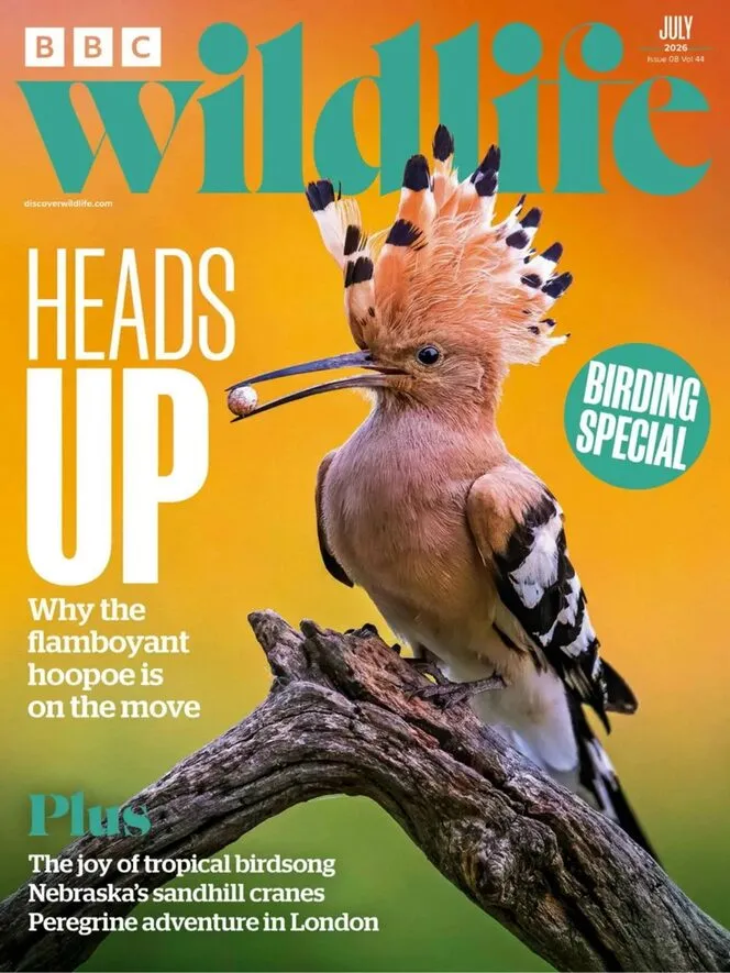 BBC Wildlife – July 2026