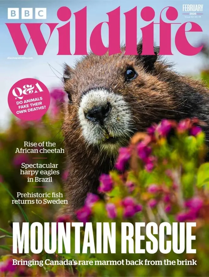 BBC Wildlife – February 2026