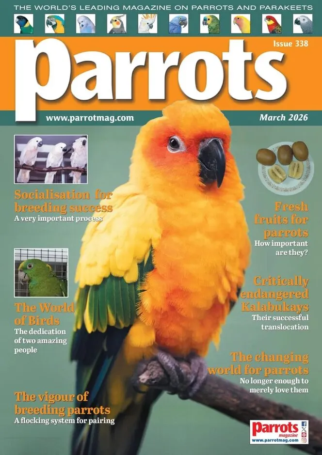 Parrots – March 2026