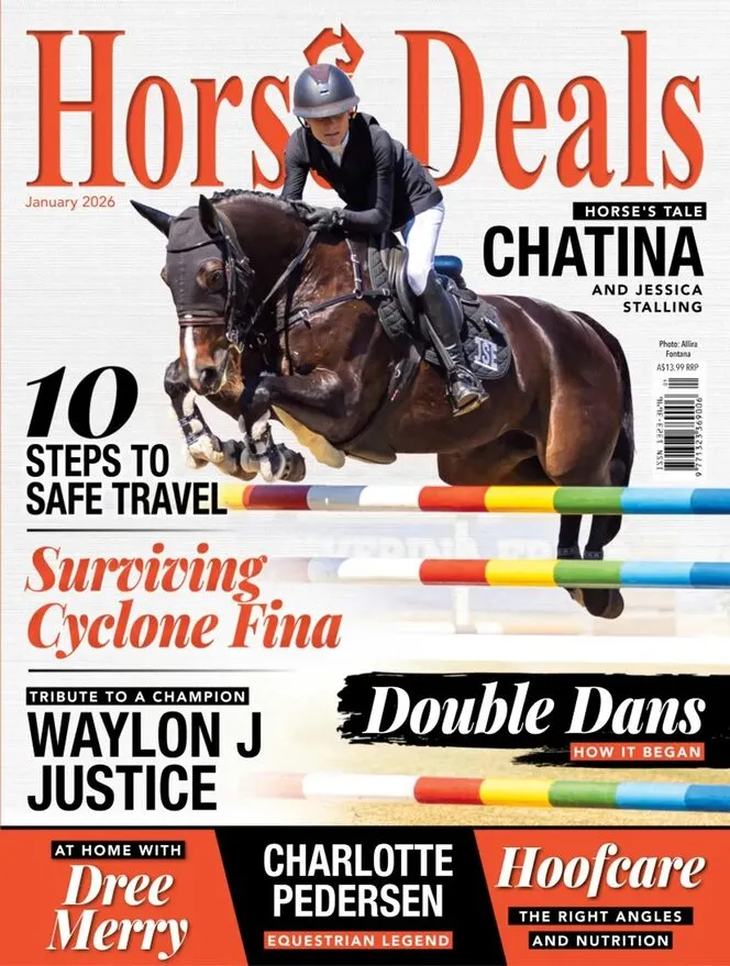 Horse Deals – January 2026