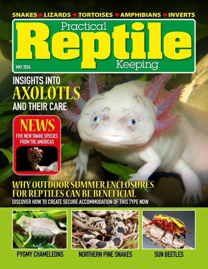 Practical Reptile Keeping – May 2026